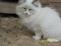 /album/galeria-aurora/sam-3160-816-x-612-jpg/